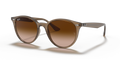 Ray-Ban RB4305F  Sunglasses