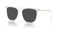 Swarovski SK6015D  Sunglasses