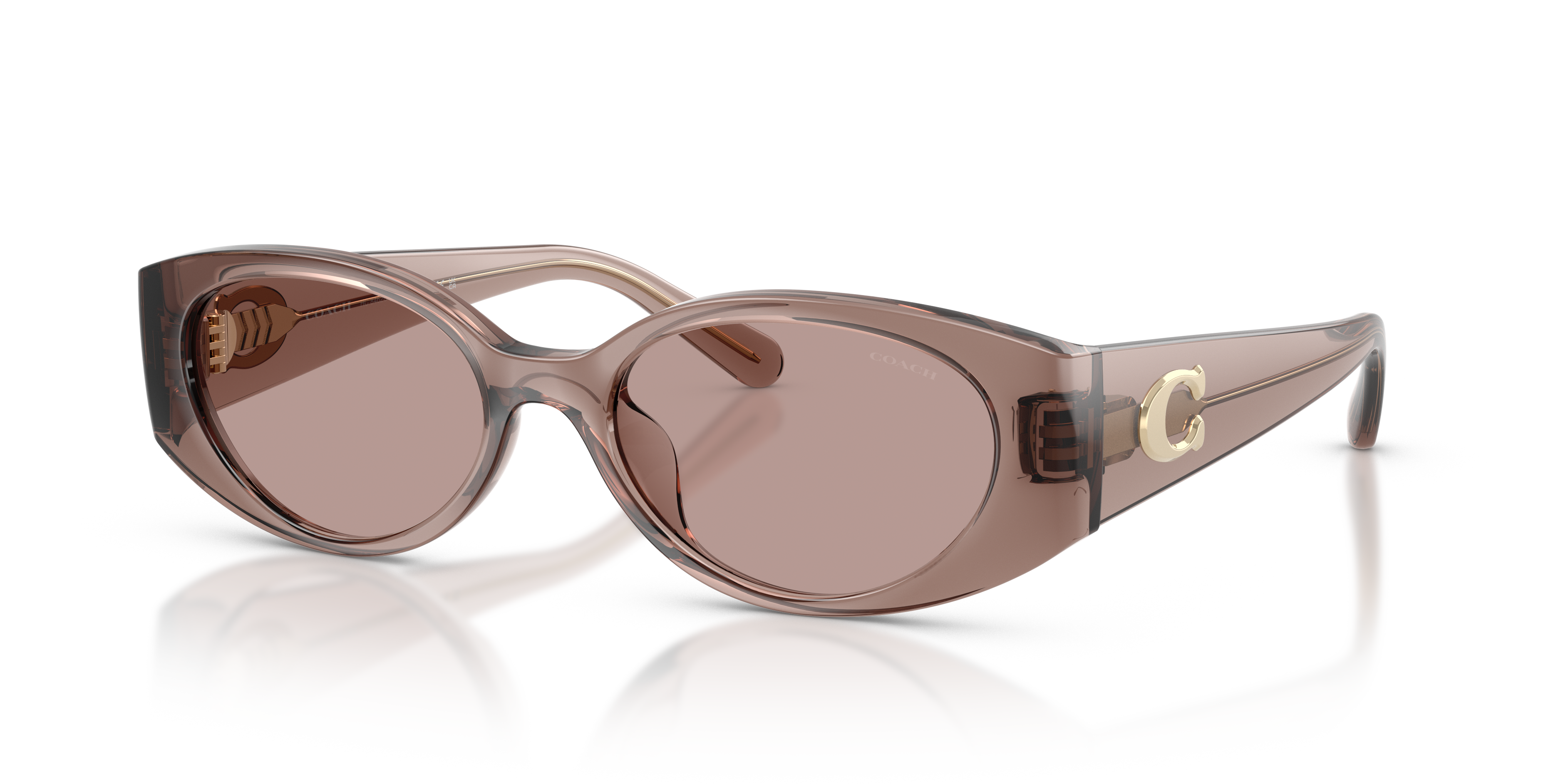 Coach HC8462U Cfu06 Sunglasses