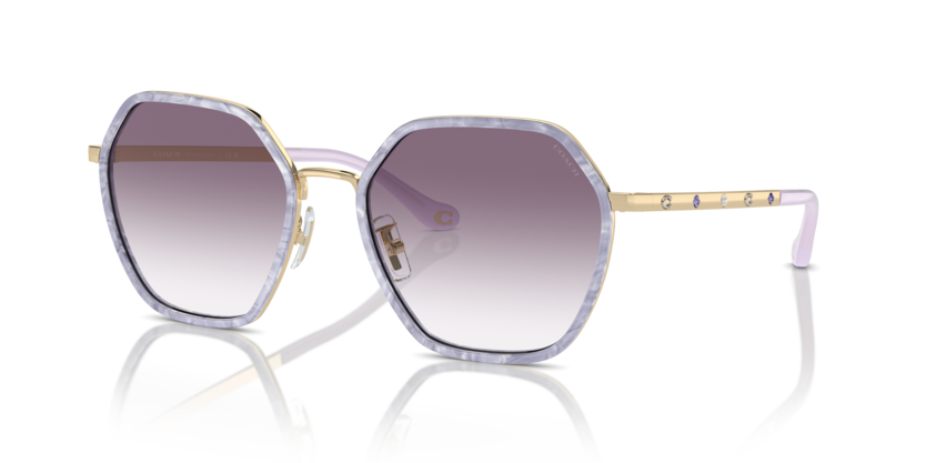Coach HC7167B Cs543 Sunglasses