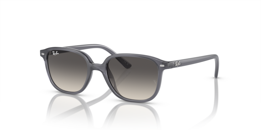 Ray-Ban Junior RJ9093S Junior Leonard Sunglasses Kids