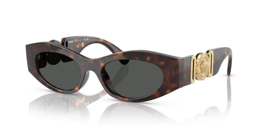 Versace VE4480U  Sunglasses