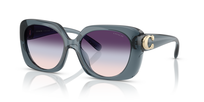 Coach HC8422U Cad33 Sunglasses