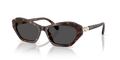 Swarovski SK6048  Sunglasses