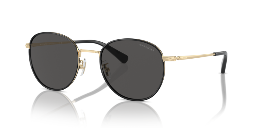 Coach HC7163 Cr631 Sunglasses