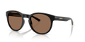 Arnette AN4371  Sunglasses