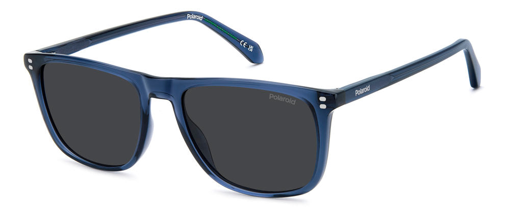 Polaroid PLD 4202/S/X Sunglasses