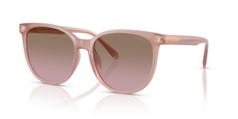 Coach HC8414BD Cw428 Sunglasses