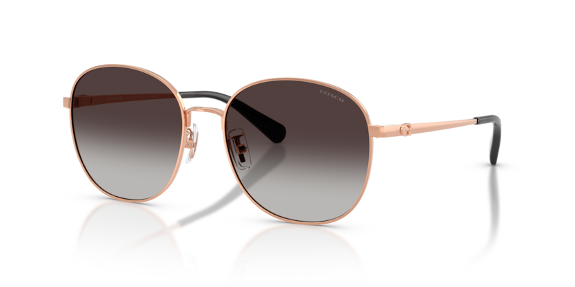 Coach HC7189 Cdp39 Sunglasses