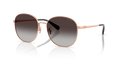 Coach HC7189 Cdp39 Sunglasses