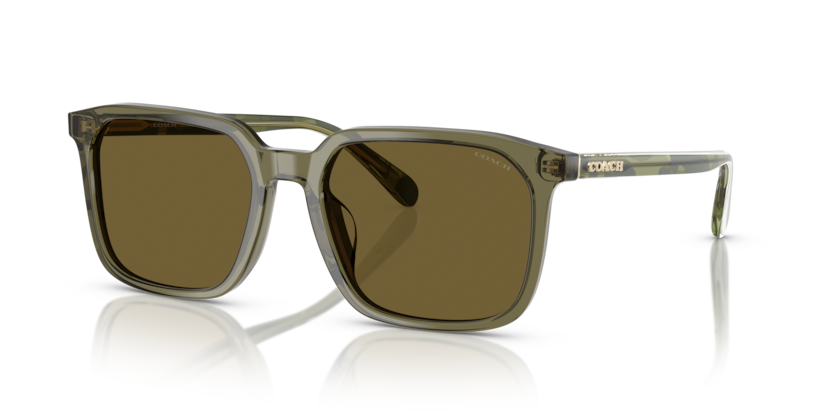 Coach HC8411U Cw405 Sunglasses