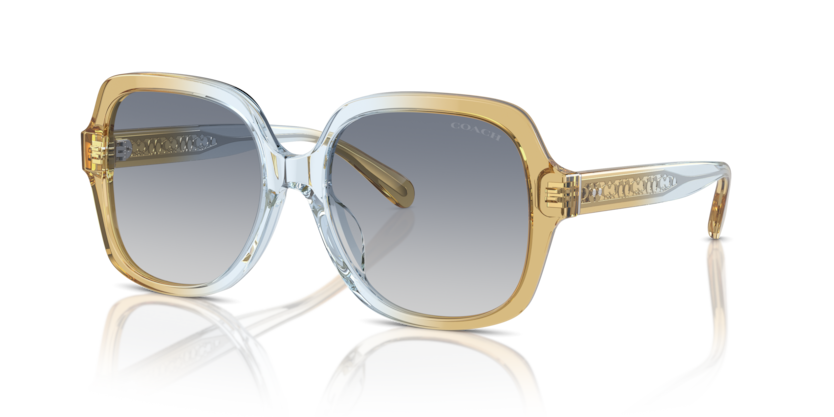 Coach HC8395U Cr614 Sunglasses