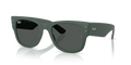 Ray-Ban RB4840S  Sunglasses
