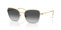 Swarovski SK7029  Sunglasses