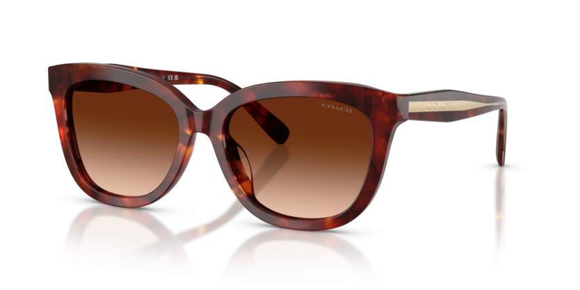 Coach HC8453U Cdp53 Sunglasses