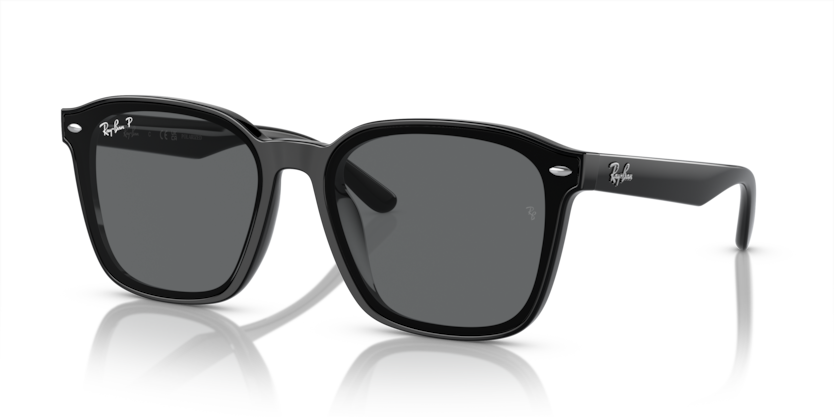 Ray-Ban RB4392D  Sunglasses