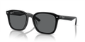 Ray-Ban RB4392D  Sunglasses