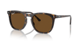 Ray-Ban RB2210F  Sunglasses