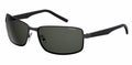 Polaroid PLD 2045/S Sunglasses
