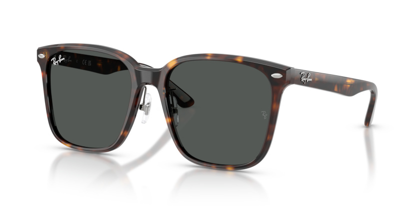 Ray-Ban RB2206D  Sunglasses