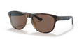 Polo PH4180U  Sunglasses
