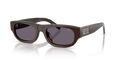 Diesel DL2022F  Sunglasses