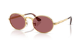 Ray-Ban RB3931  Sunglasses