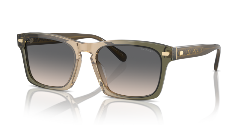 Coach HC8397U Cr628 Sunglasses