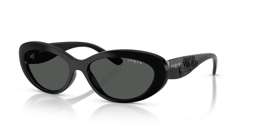 Vogue VO5630S  Sunglasses