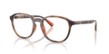 Polo PH2292U  Eyeglasses