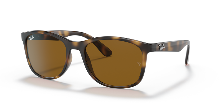Ray-Ban RB4374  Sunglasses