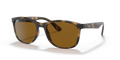 Ray-Ban RB4374  Sunglasses