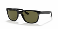 Ray-Ban RB4181 Rb4181 Sunglasses