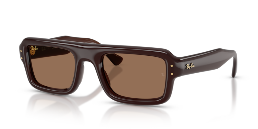 Ray-Ban RB4954  Sunglasses