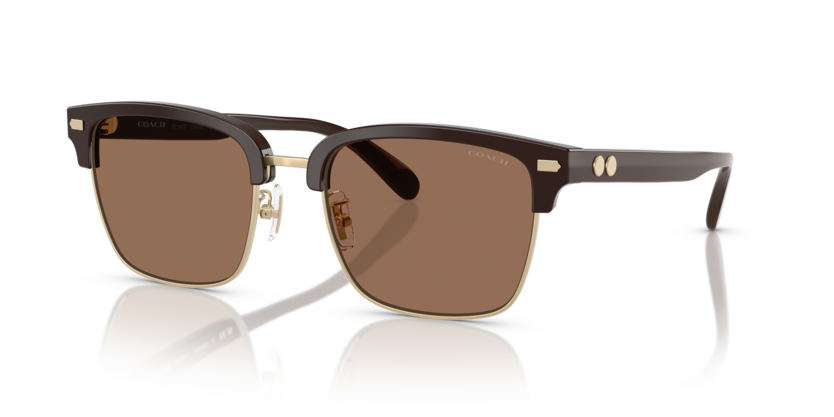Coach HC8412 Cw406 Sunglasses