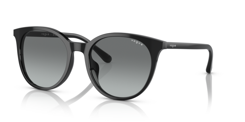 Vogue VO5468SD  Sunglasses