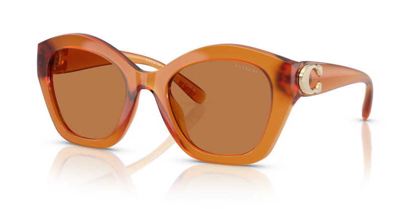 Coach HC8421U Cad31 Sunglasses