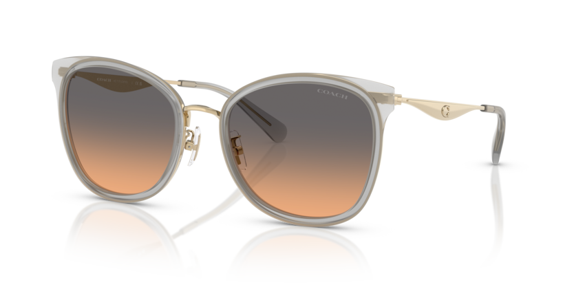 Coach HC7170 Cw185 Sunglasses