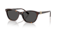 Swarovski SK6070F  Sunglasses