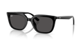 Ray-Ban RB4439D  Sunglasses