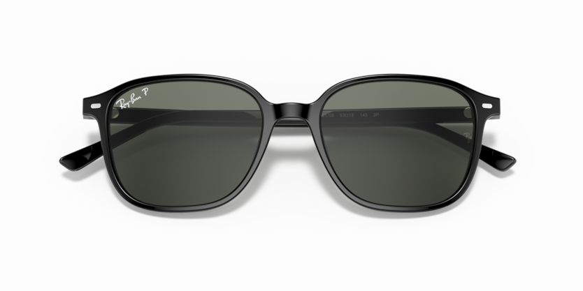 Ray-Ban RB2193 Leonard Sunglasses