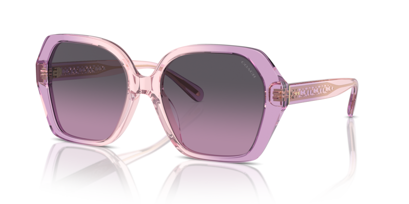 Coach HC8404U Cr615 Sunglasses