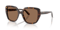Dolce & Gabbana DG4569  Sunglasses