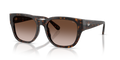 Diesel DL2005  Sunglasses