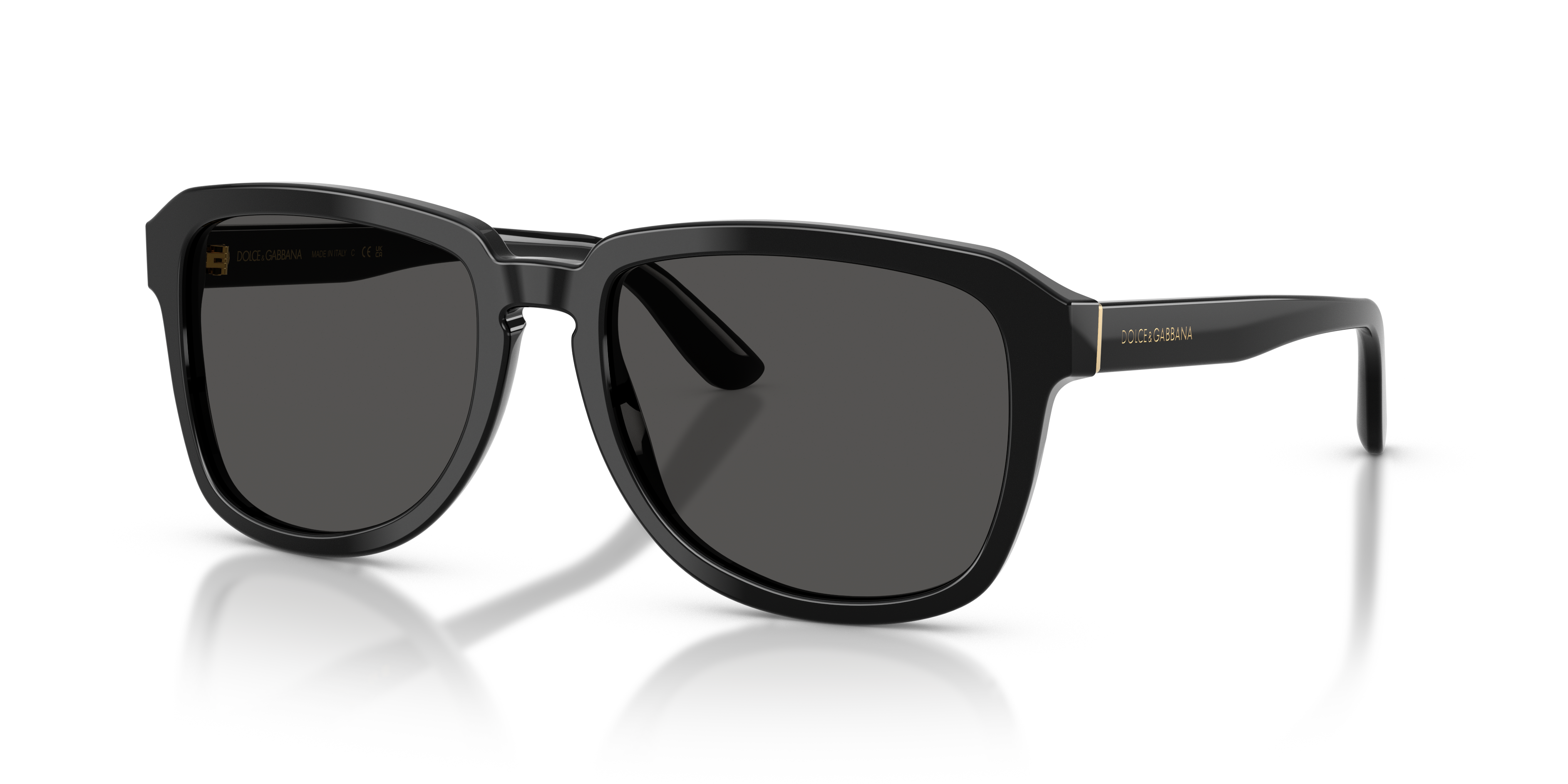 Dolce & Gabbana DG4566  Sunglasses