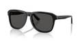 Dolce & Gabbana DG4566  Sunglasses