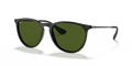 Ray-Ban RB4171 Erika Sunglasses