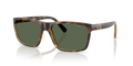 Polo PH4133  Sunglasses