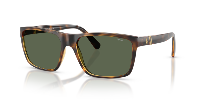 Polo PH4133  Sunglasses