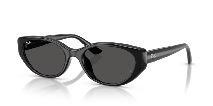 Ray-Ban RB4457D  Sunglasses